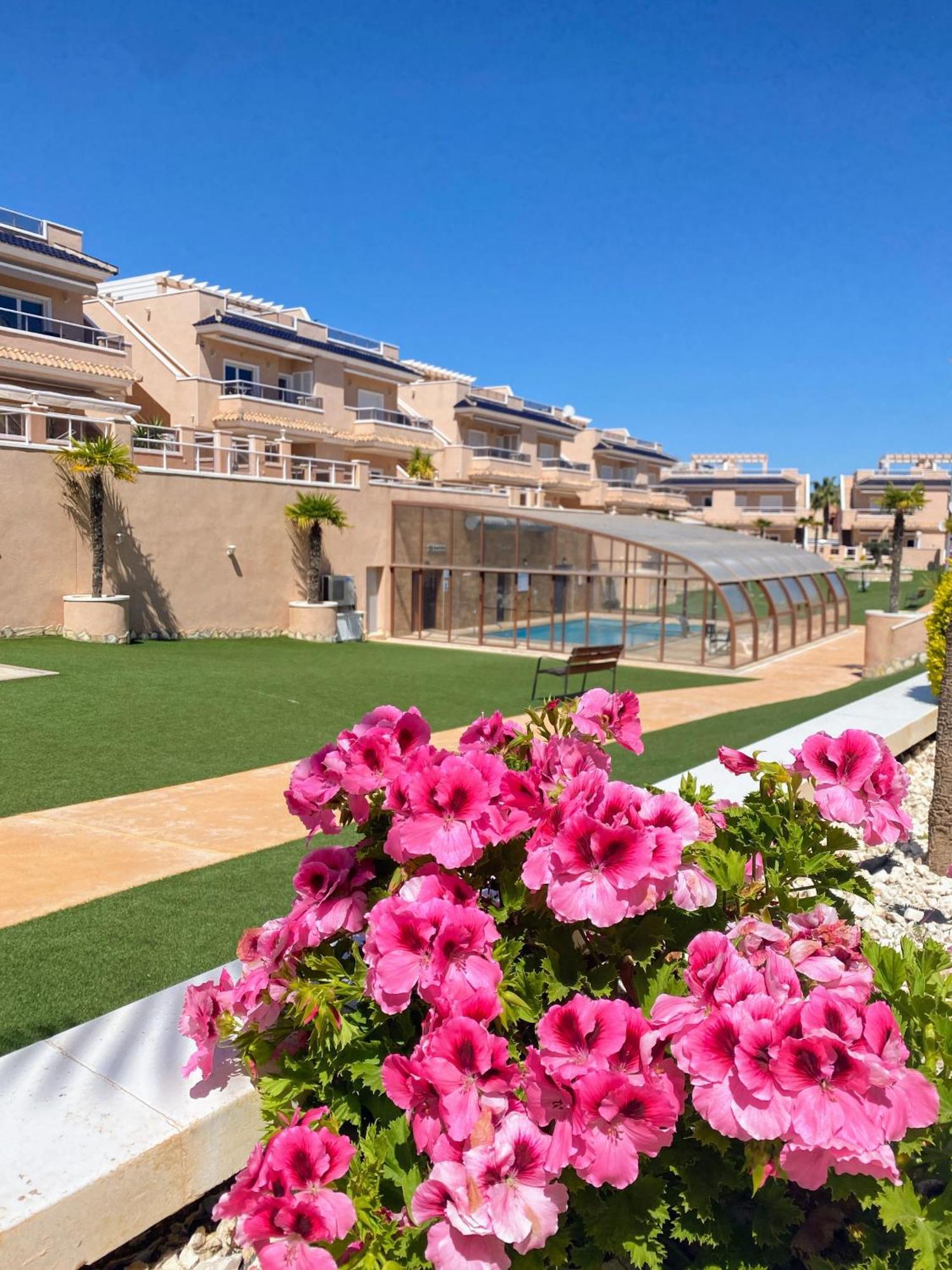Penthouse Punta Prima Indoor&outdoor pool Appartement Torrevieja Buitenkant foto